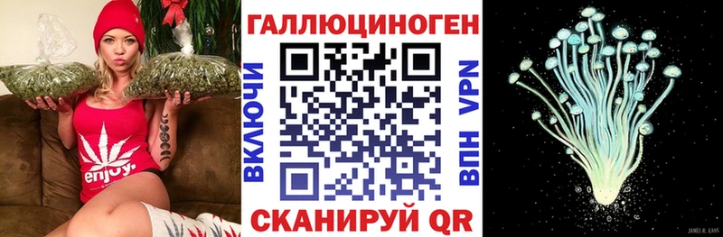 купить закладку  Белый  Псилоцибиновые грибы Cubensis 